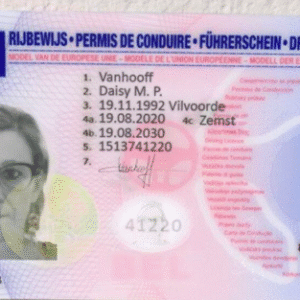 Belgian Driver’s License
